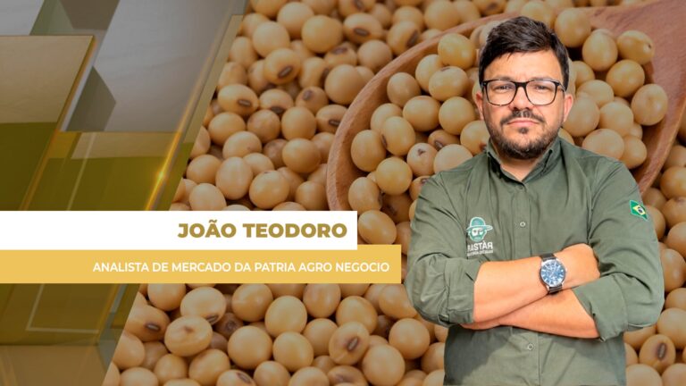 Prêmios de mais de 100 pontos em Chicago impulsionam soja no Brasil