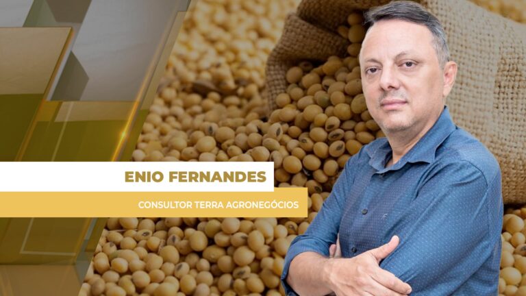 Soja recua em Chicago influenciada por petróleo e clima nos EUA