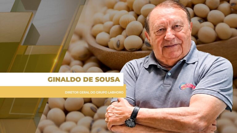 Soja recua na bolsa de Chicago e no Brasil em quinta-feira de influências externas