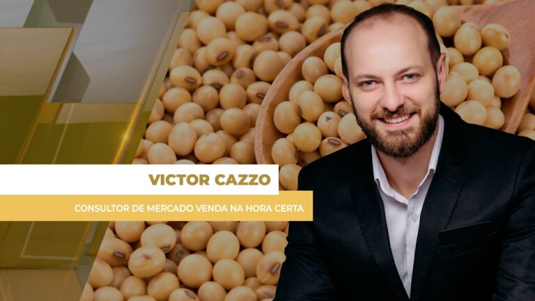 Vendas de soja avançam no mercado brasileiro com margens melhores