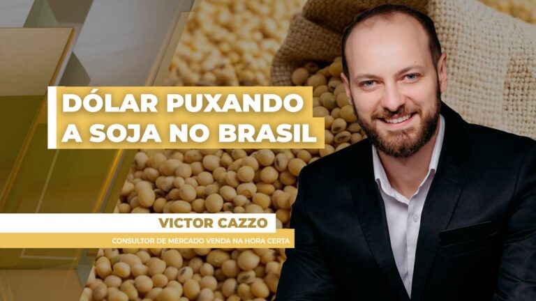 Dólar dispara cotação e impulsiona alta da soja no mercado brasileiro