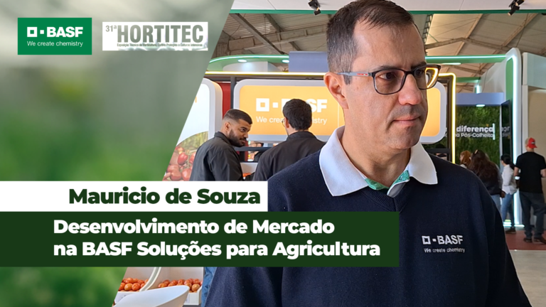 Septoria e Alternária: principais ameaças ao tomate e batata