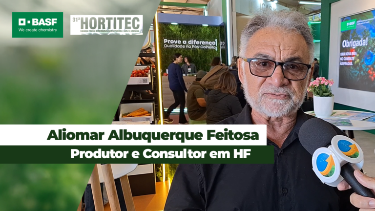 Tomate enfrenta pressão de doenças bacterianas na produção de hortifrúti