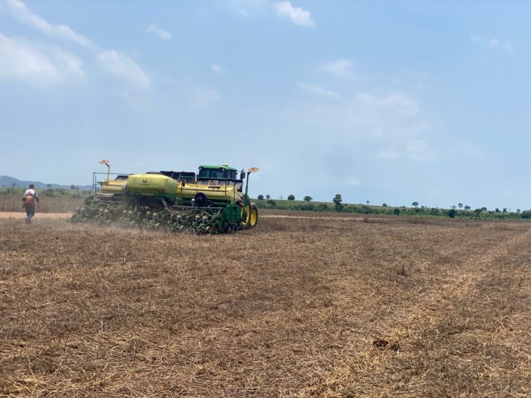 Cooperado da Castrolanda colhe 76 sacas por hectare em soja no Tocantins