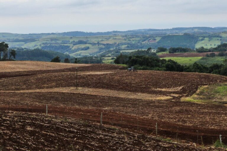 Vazio sanitário da soja em vigor em Mato Grosso do Sul
