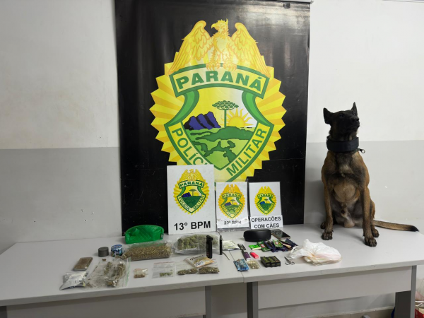 Polícia apreende drogas e utensílios de tráfico no Portão