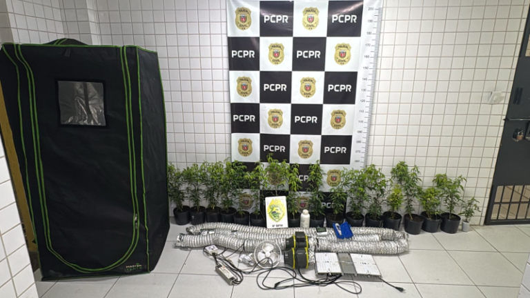 Polícia localiza laboratório clandestino de maconha em Matinhos