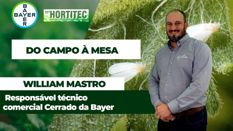 Bayer apresenta defesa contra mosca branca em tomate