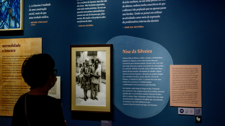 Revolução pelo afeto: o legado humanizador de Nise Silveira