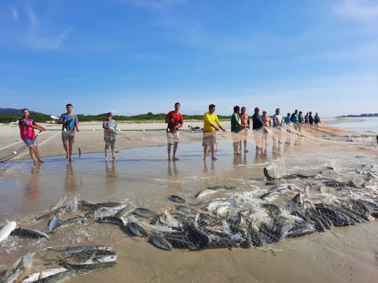 Ilha do Mel promove festa da tainha no litoral do Paraná