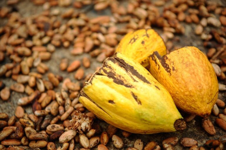 Cacau amplia perdas na bolsa ICE em Nova York