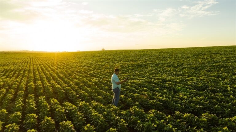 BASF formaliza nova estrutura dedicada ao agronegócio brasileiro