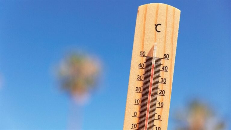Onda de calor amplia perdas bilionárias na agricultura europeia