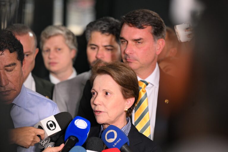 Tereza Cristina e Flávio Bolsonaro discutem vice em primeira conversa