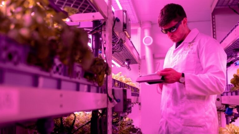 Tarifa de 25% sobre produtos brasileiros ameaça setor químico