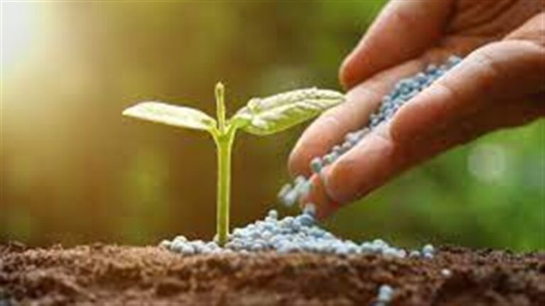 Bioinsumos ganham espaço com alta de fertilizantes