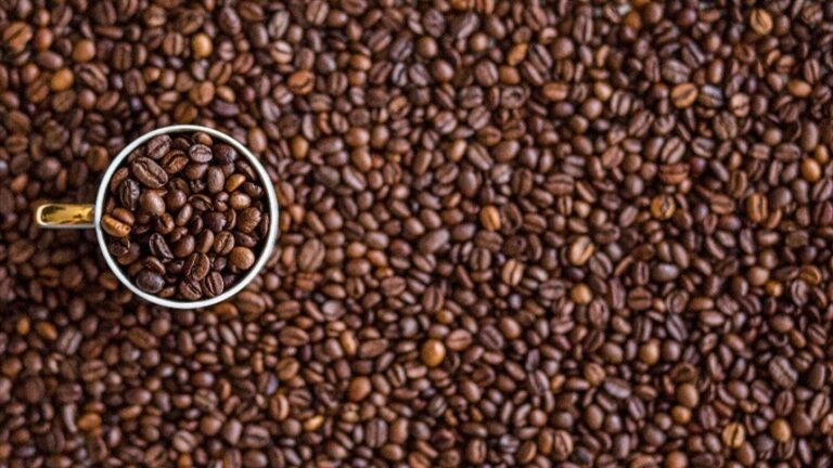 Chuvas ameaçam qualidade da safra de café arábica 2026/27