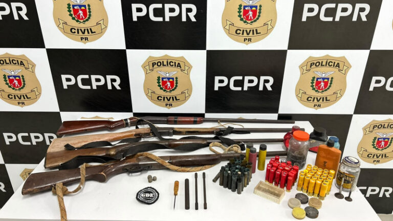 Polícia Civil prende homem por posse de armas e aves silvestres