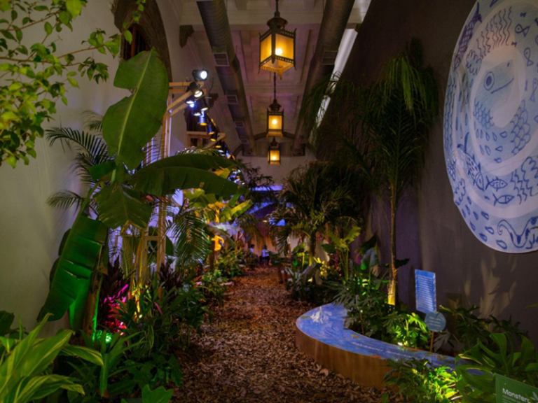 Exposição interativa sobre meio ambiente chega à Caixa Cultural
