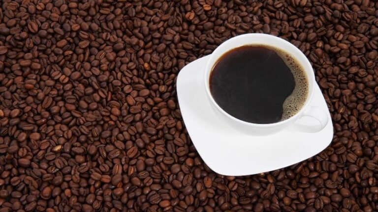 Chuvas atrasam colheita e elevam preços do café