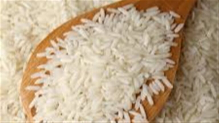 Mercosul prevê redução de até 120 mil hectares de arroz em 2026/27