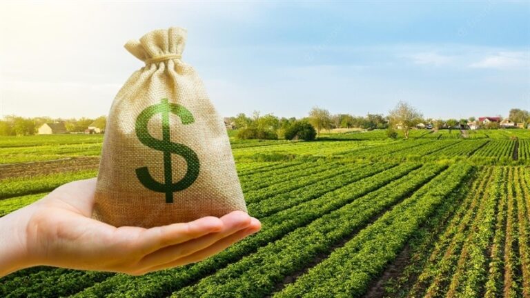 Gigantes do agro perdem controle diante de novos modelos