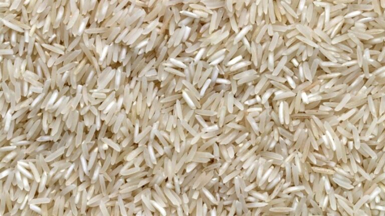 Arroz em etanol volta ao debate entre oferta e gestão de estoques