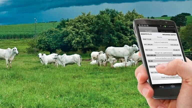 Pecuaristas brasileiros rejeitam regras da UE sobre antimicrobianos