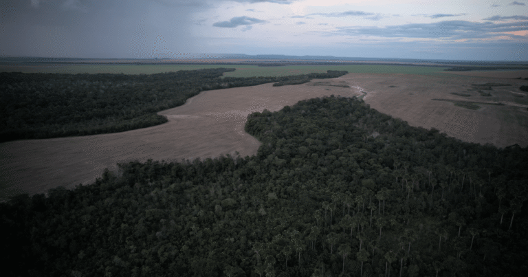 Cerrado troca rios por barragens em quatro décadas