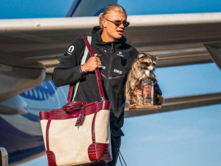 Haaland gasta fortuna com pelúcia de esquilos e guaxinins