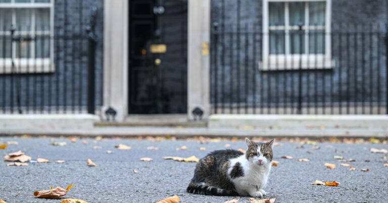 Gato Larry servirá seu sétimo primeiro-ministro após posse de Andy Burnham