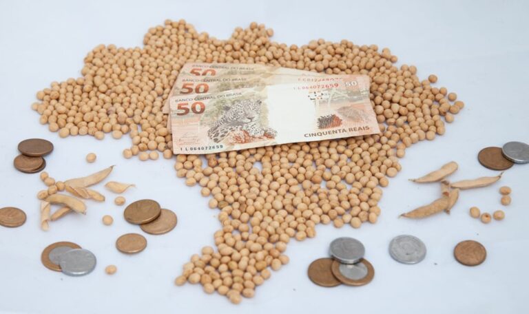 Oferta restrita sustenta preços da soja mesmo com foco no milho