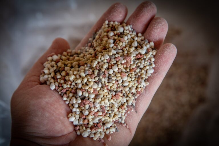 Queda nas importações de fertilizantes abre oportunidade à indústria nacional