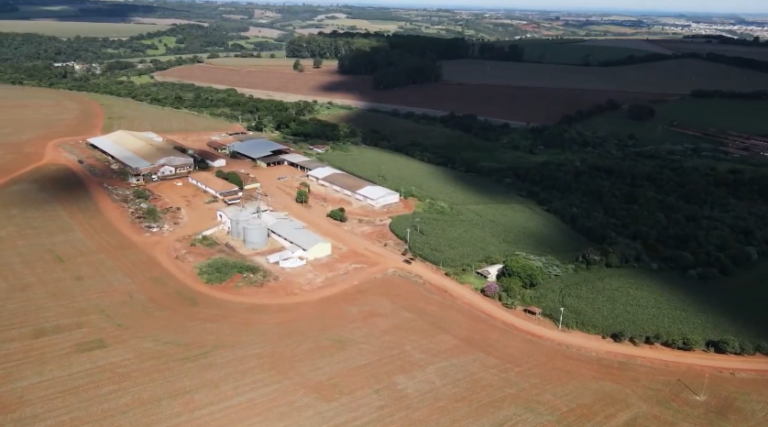 Soja campeã: tecnologia e precisão elevam produtividade no Sudeste