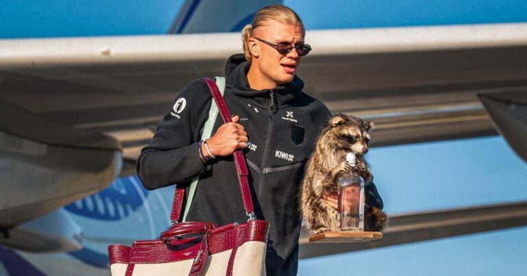 Haaland desembarca na Noruega com guaxinim de pelúcia de R$ 38 mil