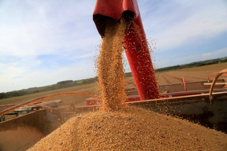 MP da dívida rural será editada com juros de até 12%