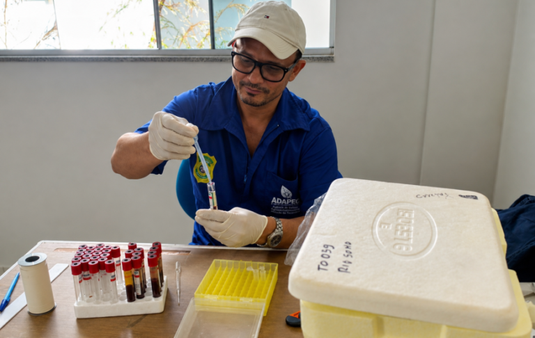 Adapec inicia monitoramento da peste suína clássica no Tocantins