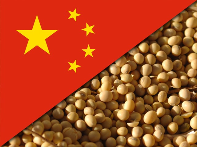China retoma compras de soja americana com grandes encomendas