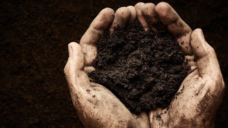 MER×X transforma dados agrícolas em receita para usinas