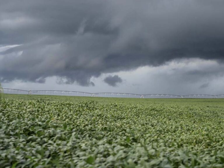 Agronegócio quer juros abaixo de dois dígitos em renegociação