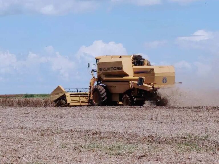 Tarifas de Trump ameaçam 36,5% das exportações do agro brasileiro