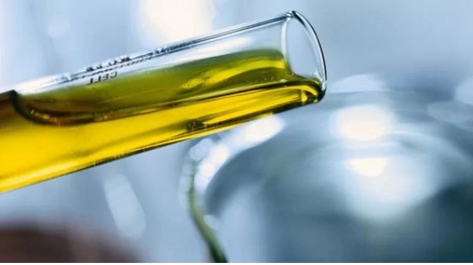 Indonésia avança no biodiesel com preço do petróleo em alta