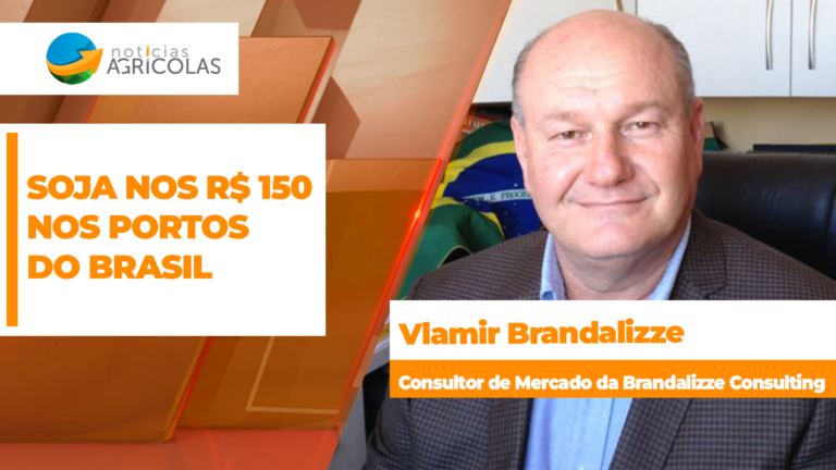Soja supera R$ 150 por saca nos portos e Brasil negocia 1 milhão de toneladas