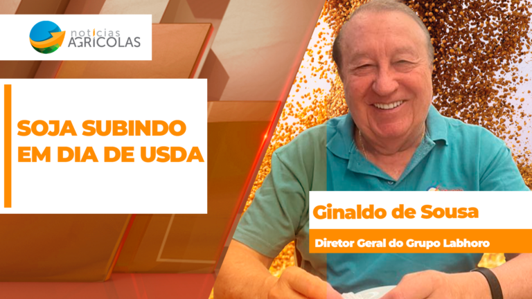 Soja sobe em Chicago mesmo com USDA trazendo poucas novidades