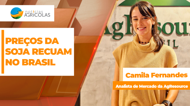 Preços da soja caem com queda do dólar e mercado resfria