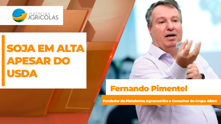 Soja sobe em Chicago apesar de relatório baixista do USDA