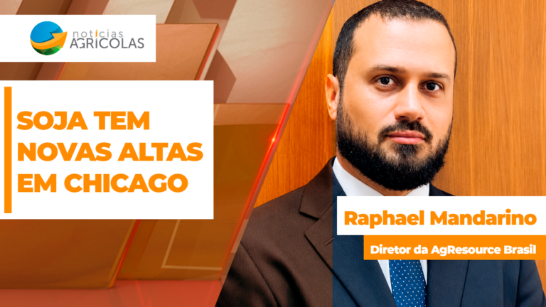 Soja volta a subir em Chicago com dólar forte impulsionando preços
