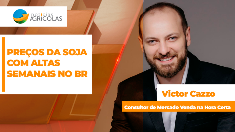 Soja sobe no Brasil com semana reduzida e apoio cambial