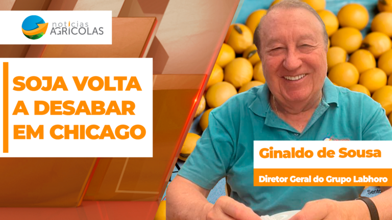Soja desaba mais de 30 pontos em Chicago e pressiona mercado brasileiro