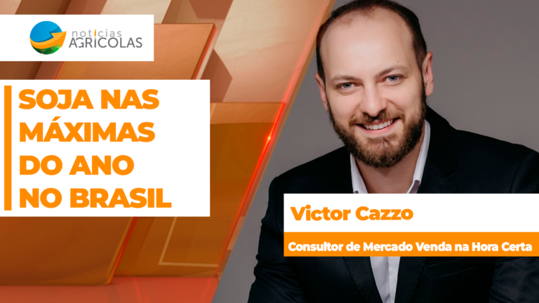 Preços da soja renovam máximas do ano no Brasil